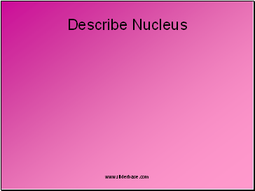 Describe Nucleus