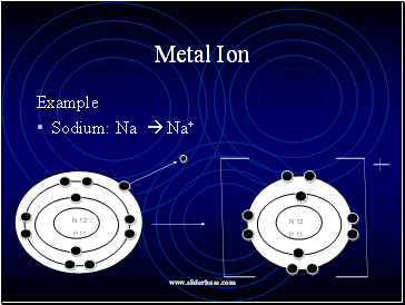 Metal Ion