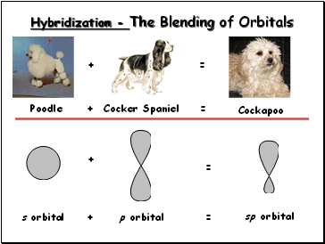 Hybridization of Orbitals