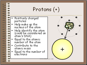 Protons (+)