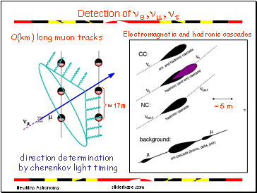 Detection of ne ,nm , nt O(km) long muon tracks