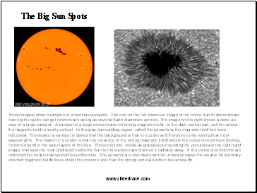 The Big Sun Spots