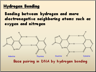 Hydrogen Bonding