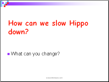 How can we slow Hippo down?