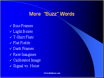 More Buzz Words