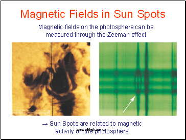 Magnetic Fields in Sun Spots