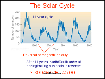 The Solar Cycle