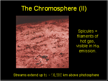 The Chromosphere (II)