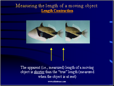 Measuring the length of a moving object: Length Contraction