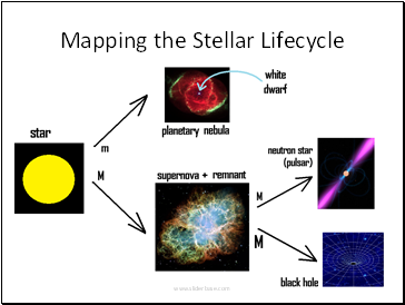 Mapping the Stellar Lifecycle