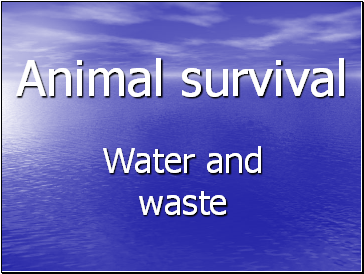 Animal survival