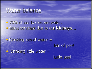 Water balance