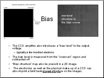 Bias