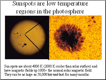 Sun spots are about 4000 K (2000 K cooler than solar surface) and have magnetic fields up 1000 the normal solar magnetic field. They can be as large as 50,000 km and last for many months.