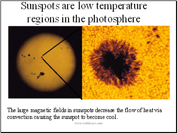 The large magnetic fields in sunspots decrease the flow of heat via convection causing the sunspot to become cool.
