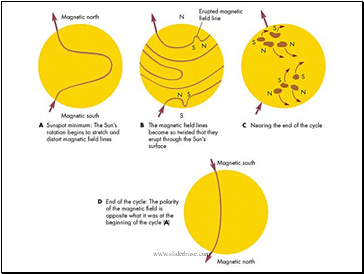 Sunspot cycle