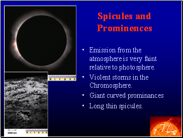 Spicules and Prominences