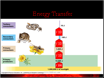 Energy Transfer