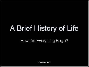 A Brief History of Life