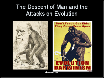 The Descent of Man and the Attacks on Evolution
