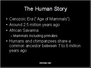 The Human Story