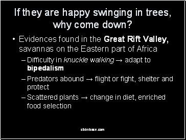 If they are happy swinging in trees, why come down?