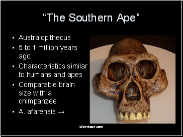 The Southern Ape