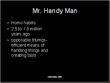 Mr. Handy Man