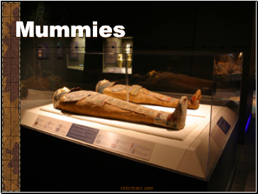 Mummies