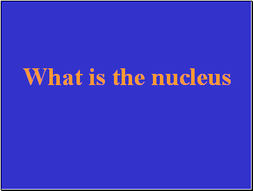 What is the nucleus