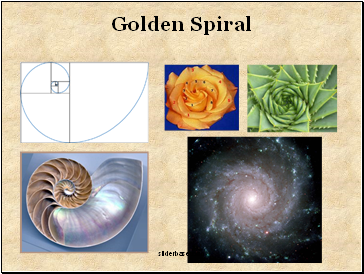 Golden Spiral