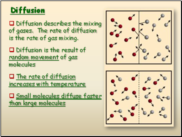 Diffusion