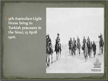 9th Australian Light Horse bring in Turkish prisoners in the Sinai, 13 April 1916.
