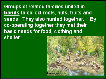 Groups of related families united in bands to collect roots, nuts, fruits and seeds. They also hunted together. By co-operating together they met their basic needs for food, clothing and shelter.