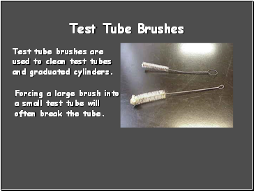Test Tube Brushes