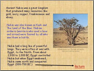 Ancient Nubia was a great kingdom that produced many resources like gold, ivory, copper, frankincense and ebony.