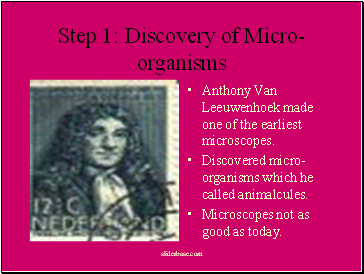 Discovery of Micro-organisms