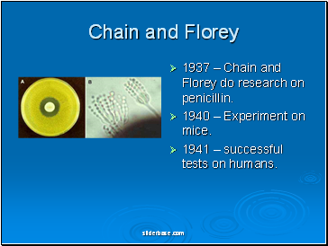 Chain and Florey