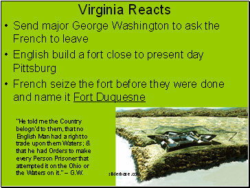 Virginia Reacts