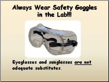 Always Wear Safety Goggles in the Lab!!!