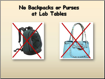 No Backpacks or Purses at Lab Tables