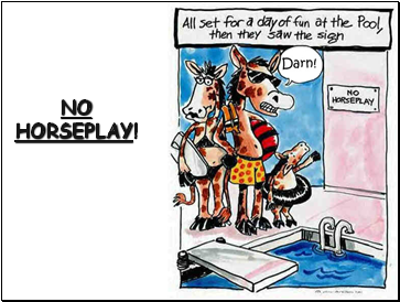 NO HORSEPLAY!
