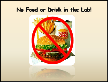 No Food or Drink in the Lab!