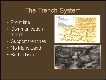The Trench System