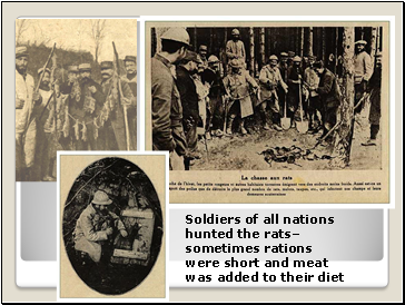 Soldiers of all nations hunted the rats– sometimes rations were short and meat was added to their diet