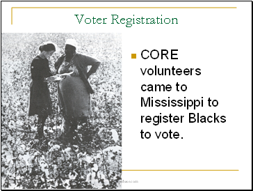 Voter Registration