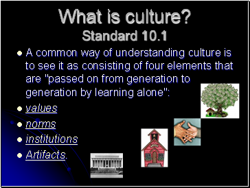 What is culture? Standard 10.1