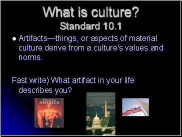 What is culture? Standard 10.1