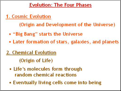 Evolution: The Four Phases