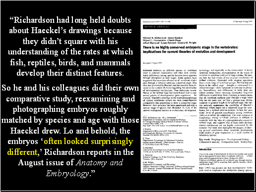 Richardson had long held doubts about Haeckels drawings because they didnt square with his understanding of the rates at which fish, reptiles, birds, and mammals develop their distinct features.